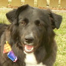 Shannon was adopted in September, 2004